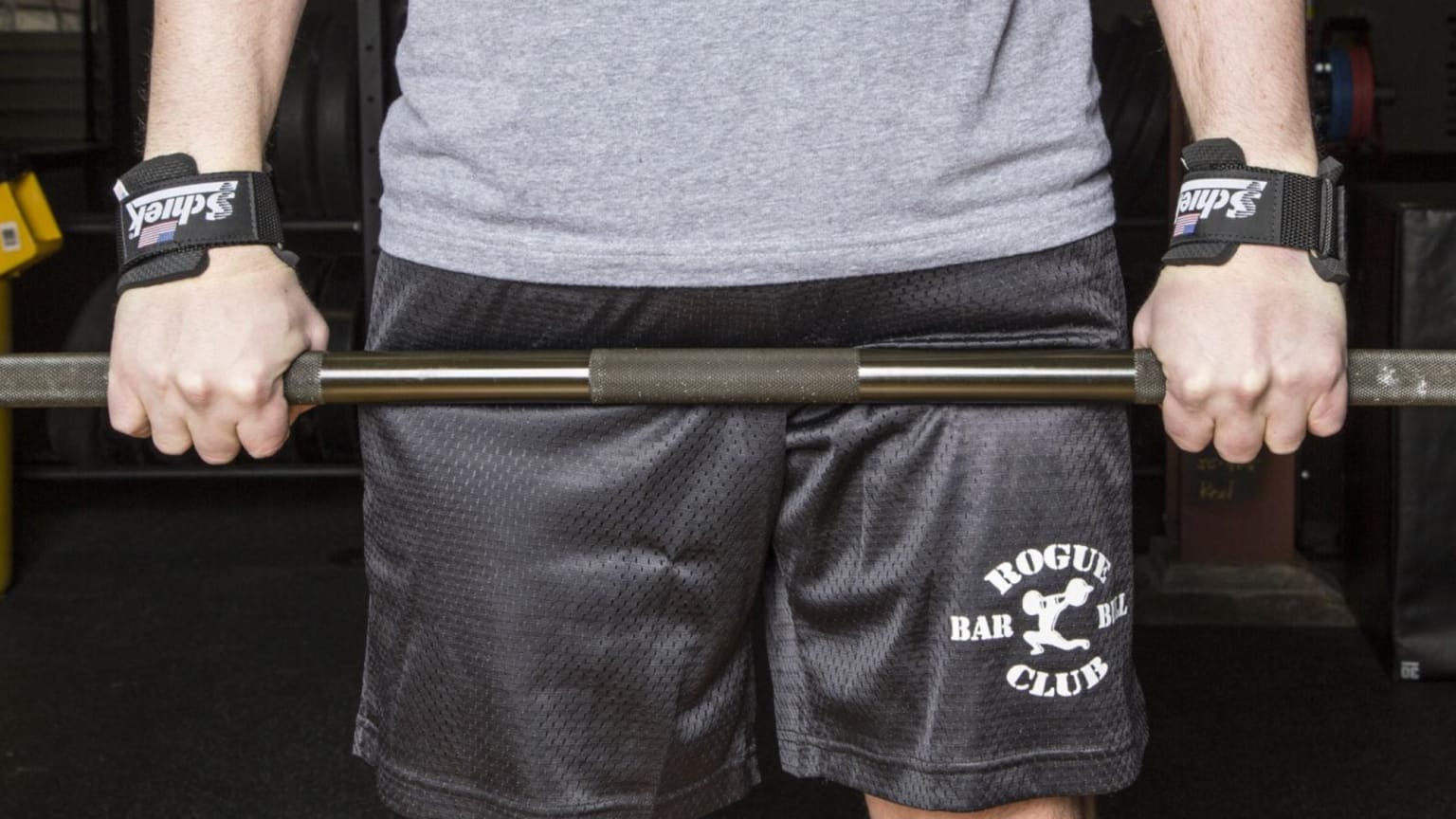 Sheik weight lifting belt shop